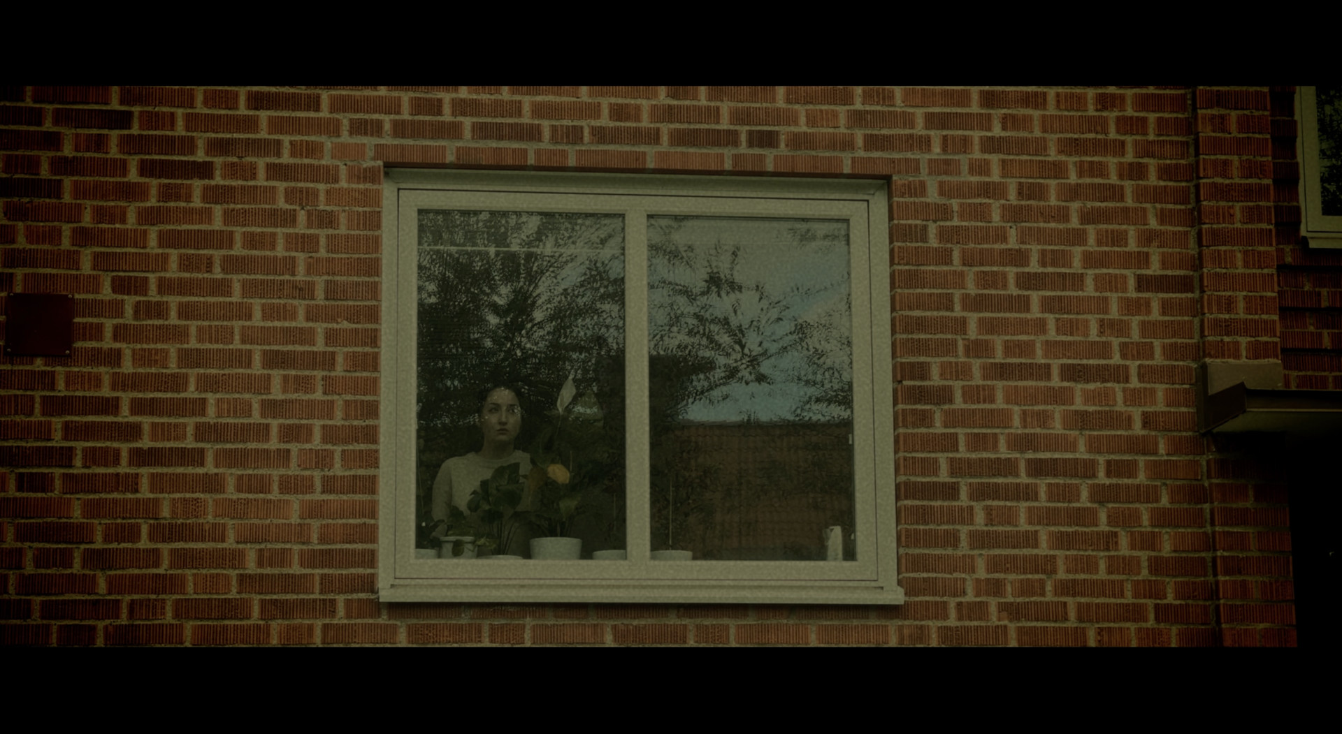 Bilder ur filmen — Haleva (2)
