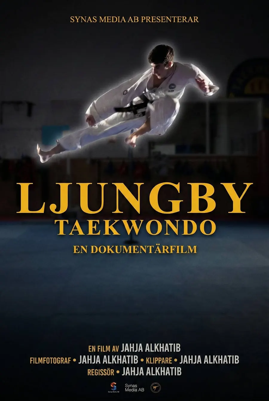 Poster for Ljungby Taekwondo