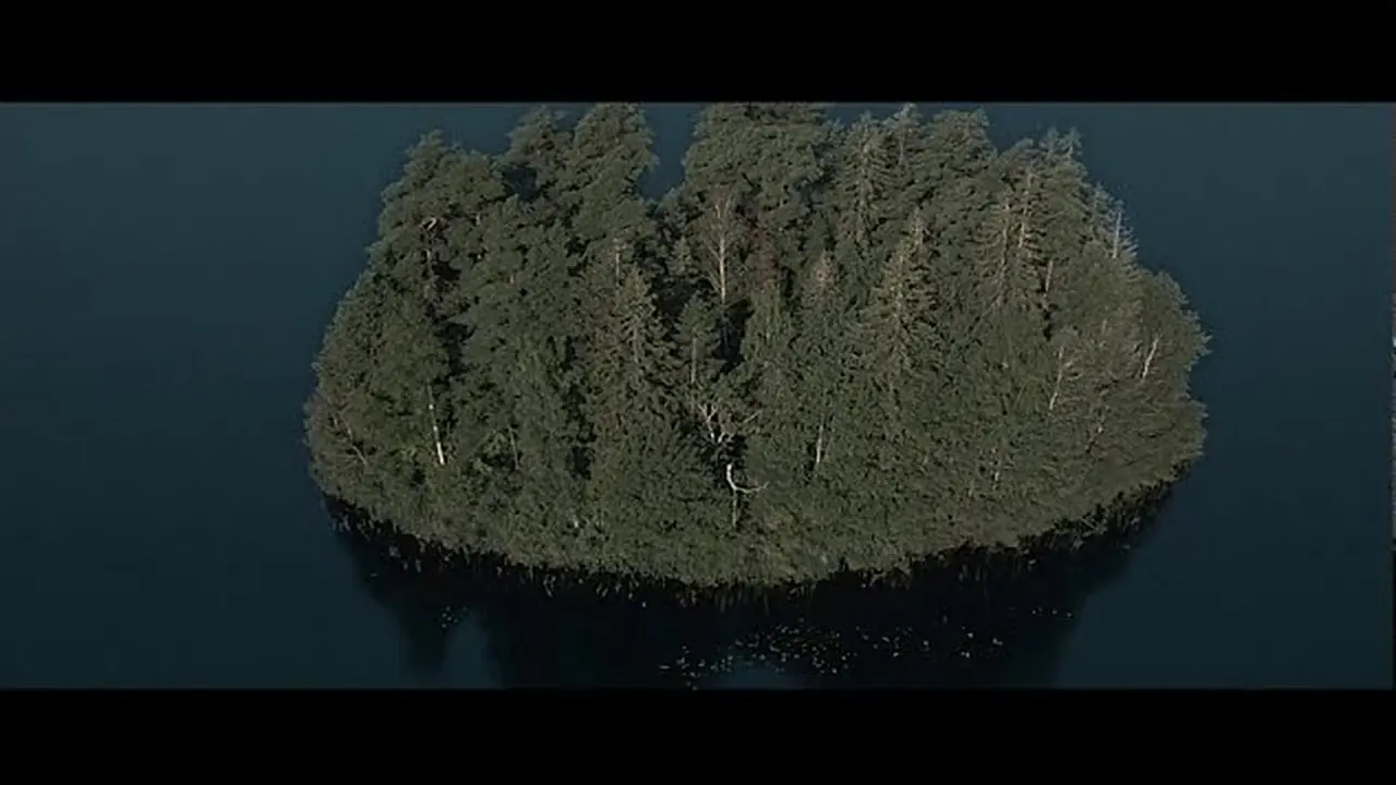 The film — The Forest