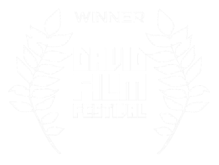 Vinnare bästa foto — David Film Festival 2024